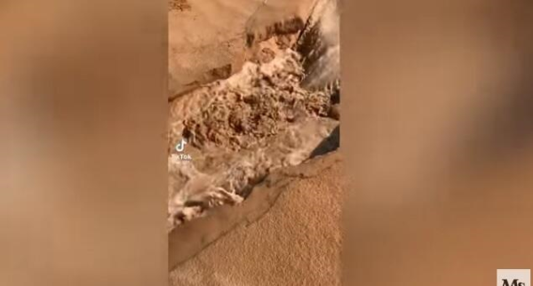 Ərəbistan səhrasında su çıxıb